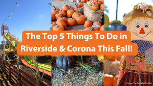 The Top 5 Things To Do in Riverside & Corona This Fall!