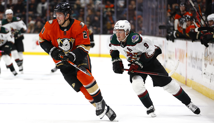 The Ducks and Coyotes battle it out on ice